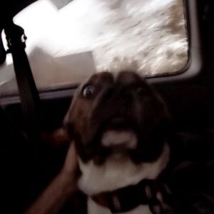 Meet your Posher, Aridessa